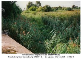 Tranatenberg, Kreis Elchniederung 