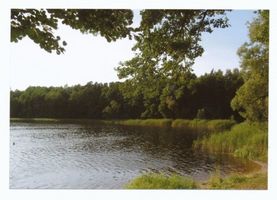  Rominter Heide, Marinowo-See II 