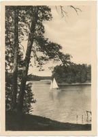  Masuren, Niedersee mit Königsinsel II Мазуры, Нидерзее с Королевским островом, II