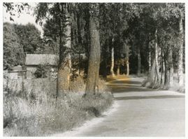  Kreis Sensburg, Hauptstraße zwischen Nikolaiken und Sensburg 
