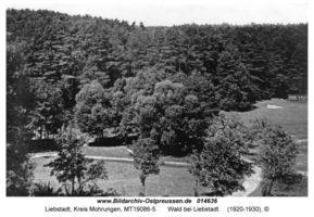 Liebstadt, Kreis Mohrungen  