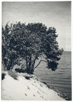  Frische Nehrung, Nehrungsküste (westlich Neutief) Фришская коса, берег косы (западнее Нойтифа)