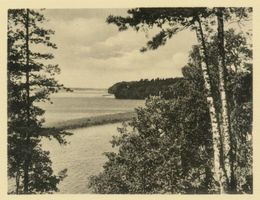  Masuren, Partie am Niedersee V Masuren, Niedersee