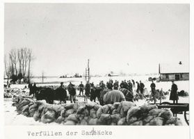  Kreis Elchniederung, Hochwasser, Verfüllen der Sandsäcke Район Эльхнидерунг, наводнение, наполнение мешков песком