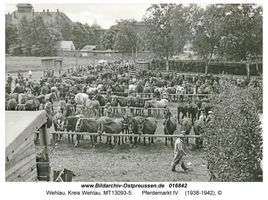 Wehlau, Kreis Wehlau 