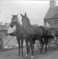Margen Kr. Elchniederung, Gut, Kreis Elchniederung 