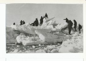 Cranz Kr. Samland, Ort, Kreis Samland 