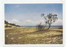  Kurische Nehrung, Dünenlandschaft VI Kurische Nehrung, Dünen