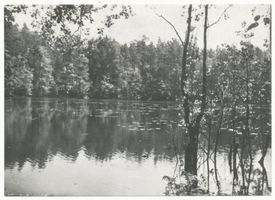  Johannisburger Heide, Namenloser See 