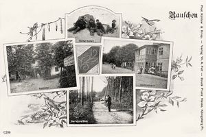 Rauschen Kr. Samland, Kreis Samland 