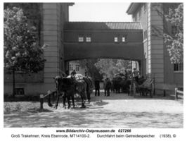 Groß Trakehnen, Kreis Ebenrode  