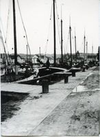 Tolkemit, Kreis Elbing 