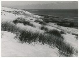  Kurische Nehrung, Düne bei Schwarzort Kurisches Haff
