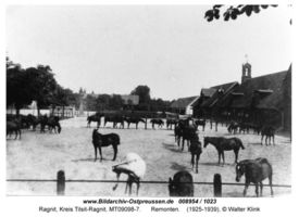 Ragnit, Kreis Tilsit-Ragnit  