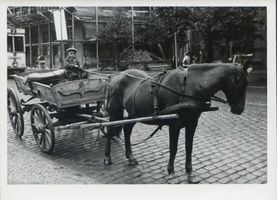 Elbing, Stadt, Stadtkreis Elbing Elbing, Gespann 