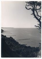 Georgenswalde, Kreis Samland Georgenswalde, Steilküste XXIV Георгенсвальде, обрывистый берег XXIV