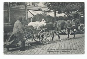 Tilsit, Stadt, Stadtkreis Tilsit Hohe Straße 31