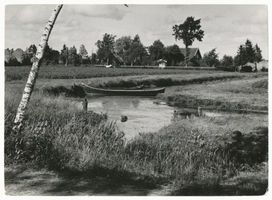  Großes Moosbruch, Landschaft in der Nähe des Kurischen Haffs 