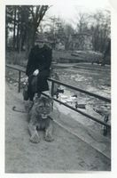 Königsberg (Pr.), Stadtkreis Königsberg Königsberg (Pr.), Tiergarten, Freiin Helga von Hoverbeck mit jungem Löwen Кёнигсберг (Пр.), зоопарк, баронесса Хельга фон Ховербек с львёнком