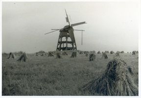 Barten Kr. Rastenburg, Kreis Rastenburg Barten, Zerstörte Windmühle Rastenburg, Kreis, Mühlen
