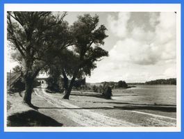 Hohenstein Kr. Osterode, Stadt, Kreis Osterode Hohenstein i. Ostpr., Landschaft bei Hohenstein am See Хоэнштайн (Вост. Прус.), пейзаж близ Хоэнштайна у озера