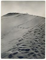 Kurische Nehrung, Wanderdünen bei Nidden V Nidden, Landschaft - Ostsee - Umgebung