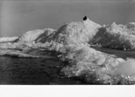  Kurisches Haff, Eisberge auf dem Haff, III Kurisches Haff