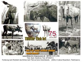 Tilsit, Stadt, Stadtkreis Tilsit Anger