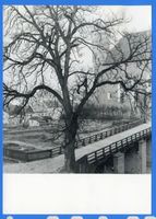 Heilsberg Kr. Heilsberg, Stadt, Kreis Heilsberg Heilsberg Kr. Heilsberg, Blick über die Brücke zum Schloß Хайльсберг (район Хайльсберг), вид через мост на замок