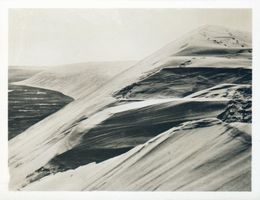  Kurische Nehrung, Wanderdüne nach Oststurm Куршская коса, бродячая дюна после восточного шторма