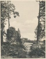 Ostwalde, Kreis Tilsit-Ragnit Ostwalde, Torkelsteg 