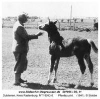 Dublienen, Kreis Rastenburg 