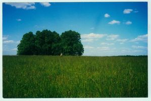 Gomingen, Kreis Gerdauen 