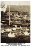 Loye, Ort, Kreis Elchniederung 