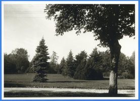 Ortelsburg, Stadt, Kreis Ortelsburg Ortelsburg, Richard-Anders-Park Ортельсбург, парк Рихарда Андерса