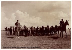 Mattischkehmen, Kreis Gumbinnen 