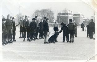 Königsberg (Pr.), Stadtkreis Königsberg Hufenallee Königsberg (Pr.), Tiergarten, Kinder auf dem Eis mit jungem Löwen Кёнигсберг (Пр.), зоопарк, дети на льду со львёнком