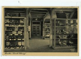 Rossitten Kr. Samland, Kreis Samland 