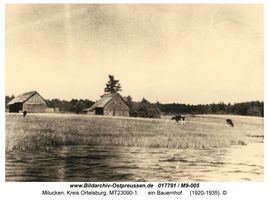 Milucken Kr. Ortelsburg, Kreis Ortelsburg 