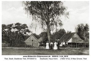 Tilsit, Stadt, Stadtkreis Tilsit   Tilsit, Stadtwald