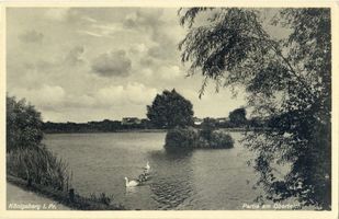 Königsberg (Pr.), Stadtkreis Königsberg Königsberg (Pr.), Partie am Oberteich Königsberg, Oberteich
