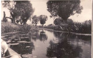 Gilgenfeld, Kreis Elchniederung 