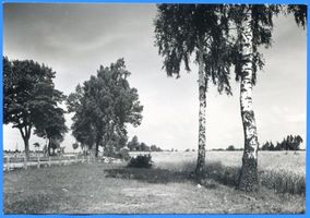  Heydekrug Kr. Heydekrug, Memelländische Landschaft II 