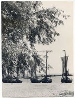  Kurische Nehrung,  Fischerkähne am Haffstrand II Kurische Nehrung, Fischerei