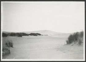  Kurische Nehrung, Dünen am Tal des Schweigens III Kurische Nehrung, Dünen
