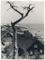 Nidden, Kreis Memel Nidden, Italienblick XXXI Нидден, «Итальянский вид», XXXI