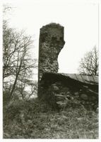 Seehesten, Kreis Sensburg Seehesten, Ordensschloss, Ruine II 