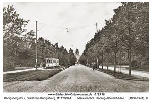 Königsberg (Pr.), Stadtkreis Königsberg Herzog-Albrecht-Allee