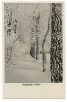 Sudauen, Kreis Samland Sudauen, Winterlandschaft 