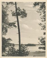  Niedersee mit Insel III Masuren, Niedersee